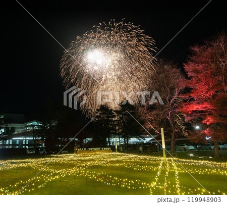 イルミネーションと紅葉、夜空に開くきれいなしだれ花火 119948903
