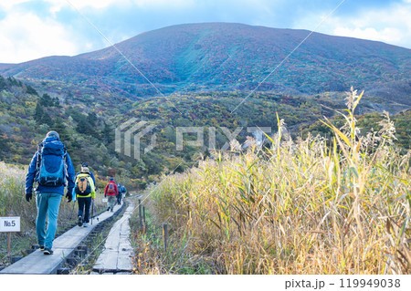 紅葉の栗駒山　産沼コース名残ヶ原 119949038