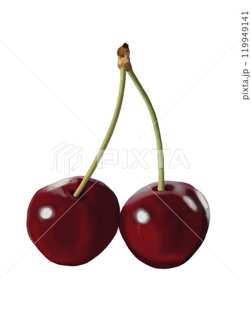 アメリカンチェリー（2個）のイラスト素材 [119949141] - PIXTA