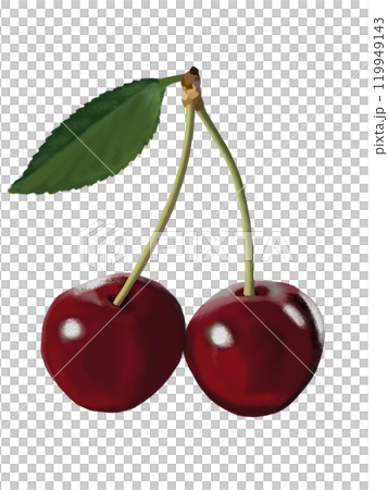 アメリカンチェリー（2個）葉付きのイラスト素材 [119949143] - PIXTA