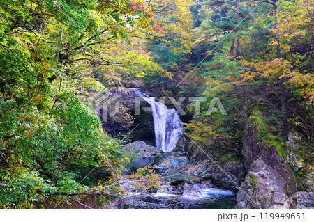 秋の関山大滝 秋の関山大滝 119949651