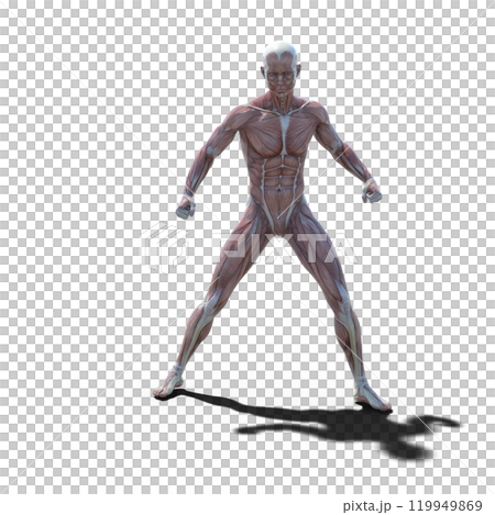 肌肉標本男性燙髮3DCG插圖素材 肌肉標本男性燙髮3DCG插圖素材 119949869
