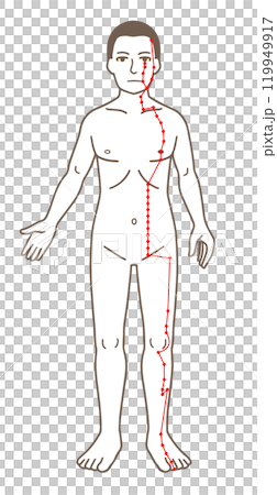 Acupuncture points, Yangming stomach meridian on the foot, illustration of pressure points 119949917