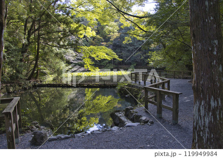 伊勢神宮 内宮 御池 三重県伊勢市 伊勢神宮 内宮 御池 三重県伊勢市 119949984