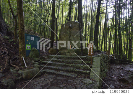 熊野古道　大門坂　多富気王子跡　和歌山県那智勝浦町 119950025