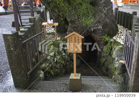 熊野那智大社　大樟(くす) 胎内くぐり　和歌山県那智勝浦町 119950039