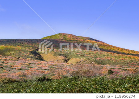 全山紅葉の栗駒山 119950274
