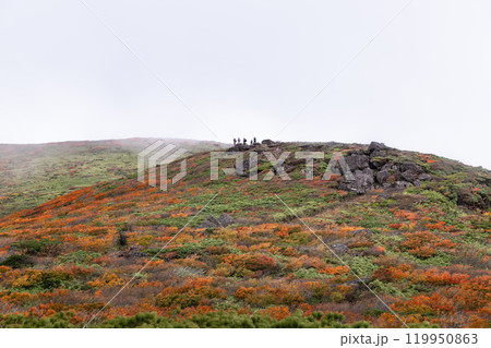 ガスってきた紅葉の栗駒山登山 119950863