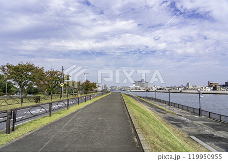 秋の晴れた日の川沿いの東立石緑地公園 秋の晴れた日の川沿いの東立石緑地公園 119950955