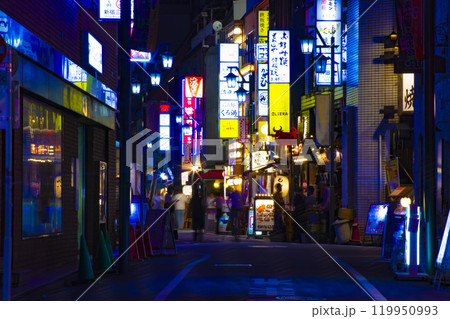 夜の新宿三丁目の街並み 夜の新宿三丁目の街並み 119950993