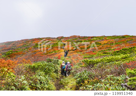 紅葉の栗駒山登山産沼コース 119951340