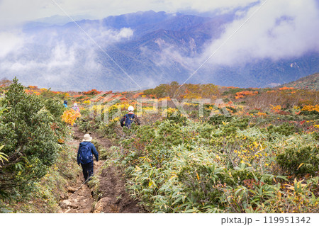 紅葉の栗駒山登山産沼コース 紅葉の栗駒山登山産沼コース 119951342