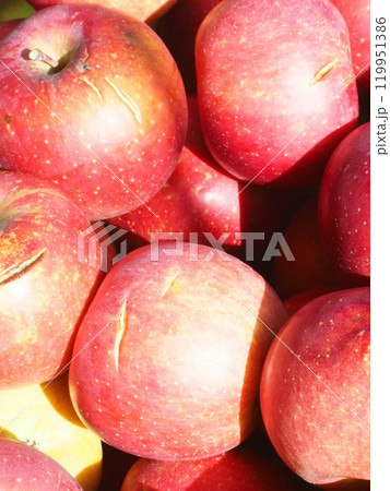 コンテナに入った真っ赤な割果ふじリンゴ、宮美ふじ コンテナに入った真っ赤な割果ふじリンゴ、宮美ふじ 119951386
