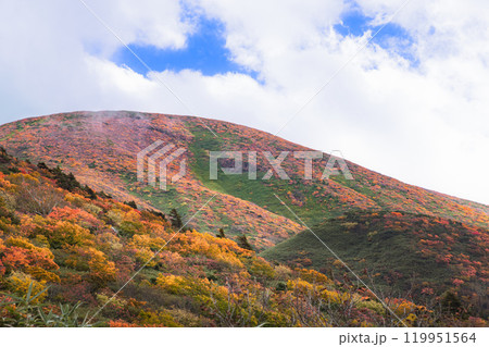 全山紅葉の栗駒山 119951564