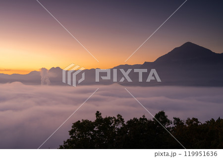 静寂の秩父雲海 119951636