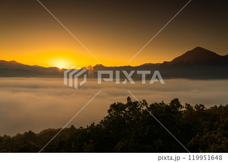 朝日と雲海が広がる秩父盆地 119951648