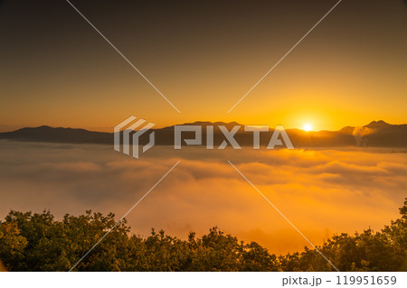 雲海に朝日がのぼる秩父絶景 雲海に朝日がのぼる秩父絶景 119951659