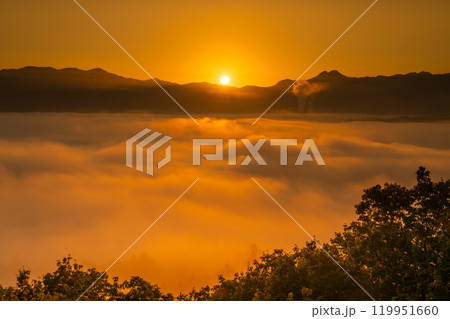 雲海に朝日がのぼる秩父絶景 119951660