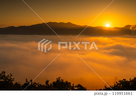 雲海に朝日がのぼる秩父絶景 119951661