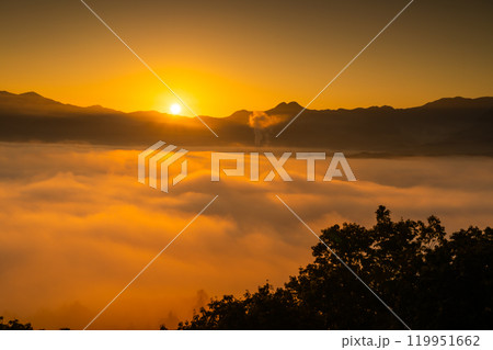 雲海に朝日がのぼる秩父絶景 119951662