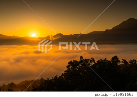 雲海に朝日がのぼる秩父絶景 雲海に朝日がのぼる秩父絶景 119951663
