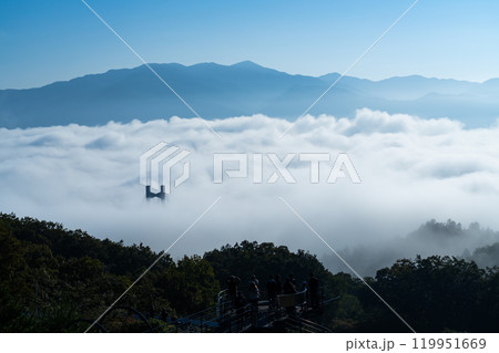 晴れた早朝に雲海が掛かる秩父公園橋のある風景 119951669