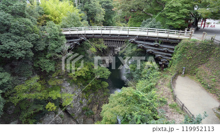 甲斐の猿橋 日本三奇橋 甲斐の猿橋 日本三奇橋 119952113