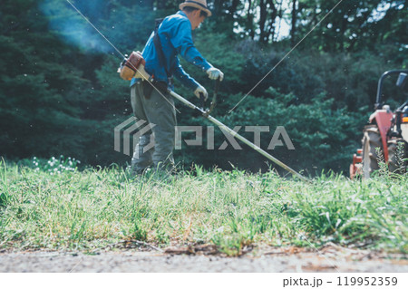 畑の周りの草刈り 119952359