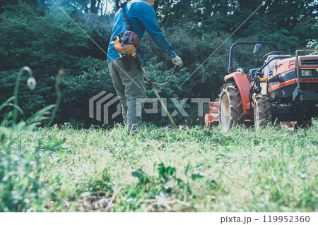 畑の周りの草刈り 119952360