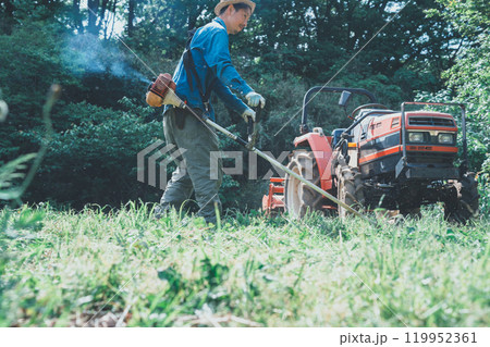 畑の周りの草刈り 119952361