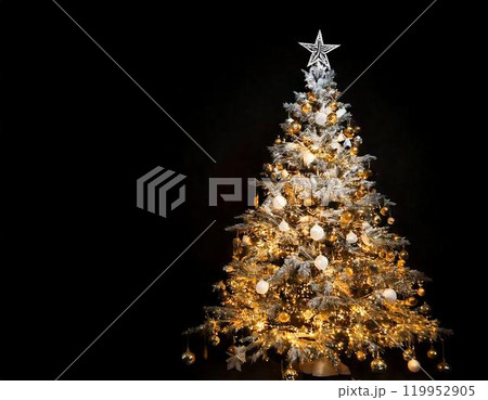 クリスマスツリー 119952905