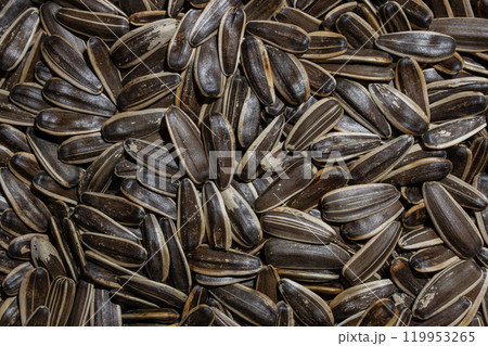 Non Salty Roasted Sunflower Seeds in Shell 119953265