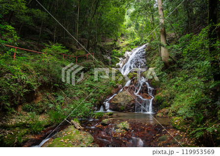 九品の滝（滋賀県栗東市） 119953569