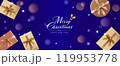 クリスマスプレゼント　ベクター素材 119953778