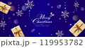 クリスマスプレゼントと雪の結晶　ベクター素材 119953782