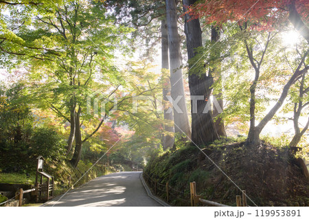 世界遺産中尊寺 秋の月見坂 光芒差す清々しい朝 岩手県 世界遺産中尊寺 秋の月見坂 光芒差す清々しい朝 岩手県 119953891