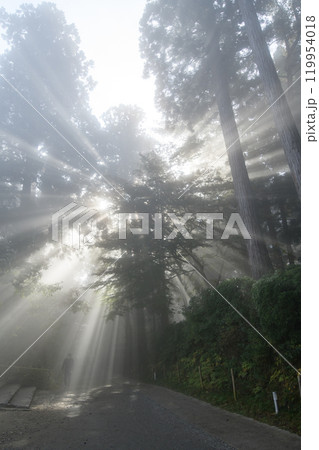 世界遺産中尊寺 月見坂 光芒差すドラマチックな朝 岩手県 世界遺産中尊寺 月見坂 光芒差すドラマチックな朝 岩手県 119954018