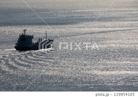 来島海峡大橋より光る燧灘に浮かぶ釣り貨物船を望む 119954105