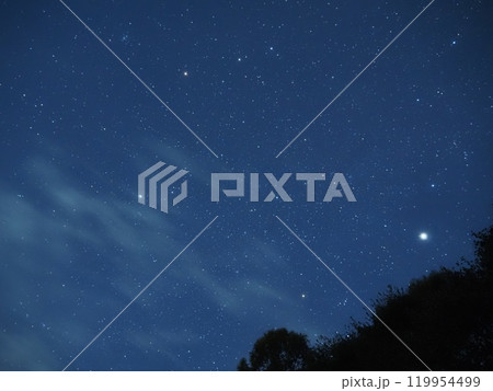 木の上に降り立つふたご座1 119954499