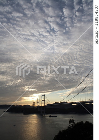 来島海峡第三大橋の夜明け 119954507