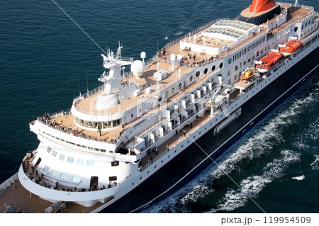 来島海峡大橋を通過するにっぽん丸 来島海峡大橋を通過するにっぽん丸 119954509