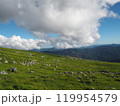 雲と四国カルストの草原 119954579