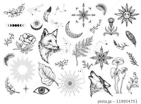 Vector collection of mystical magic boho elements isolated on white. Witchcraft astrological set. Hand drawn sketch esoteric objects. 119954751