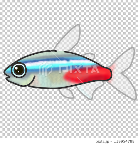 一種名為霓虹燈四的熱帶魚的插圖 一種名為霓虹燈四的熱帶魚的插圖 119954799