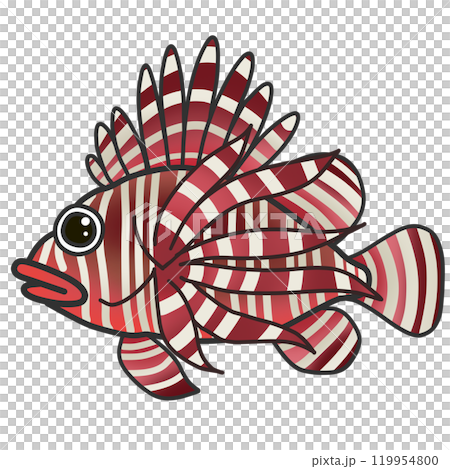 一種名為獅子魚的華麗紅白熱帶魚的插圖 119954800