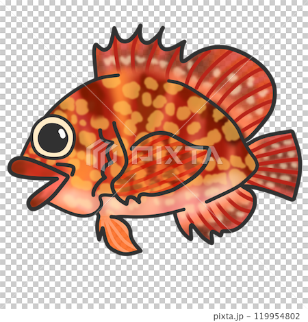 Illustration of a red saltwater fish called scorpion fish 119954802