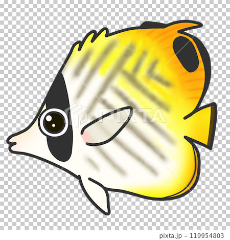 一種名為多刺蝴蝶魚的熱帶魚的插圖 119954803
