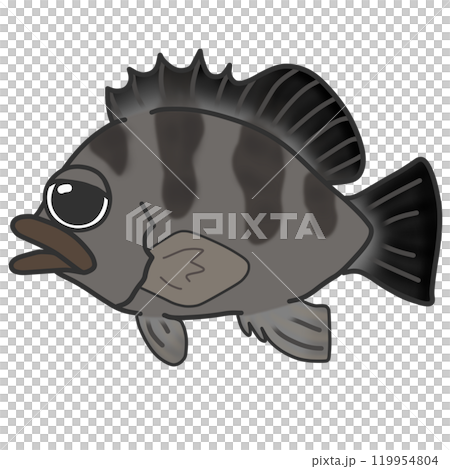 Illustration of a black sea fish called Kuromebaru 119954804