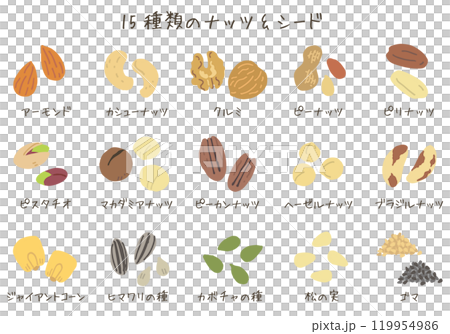 15 types of nuts and seeds (vector available) 15 types of nuts and seeds (vector available) 119954986