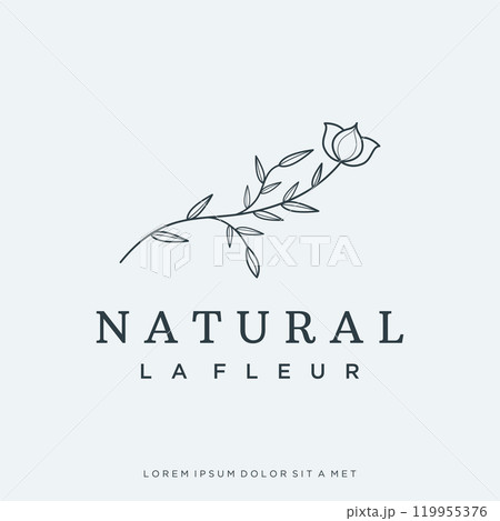 Hand drawn organic botanical organic feminine delicate Logo design for florist, wedding, badge, photographer and beauty. 119955376